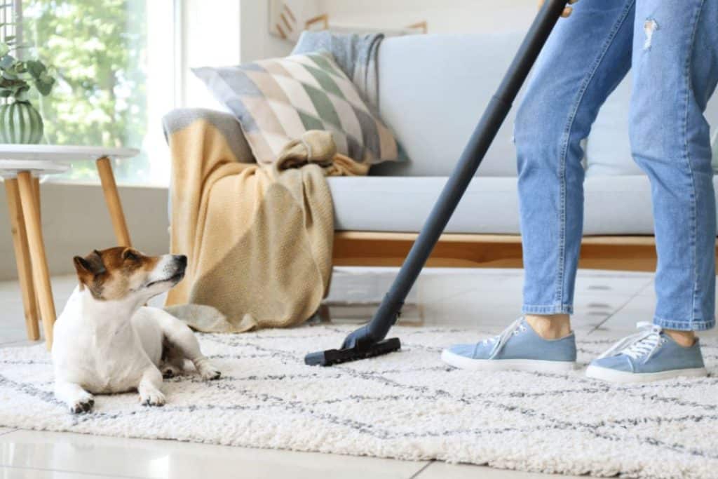 Apartment Cleaning Service